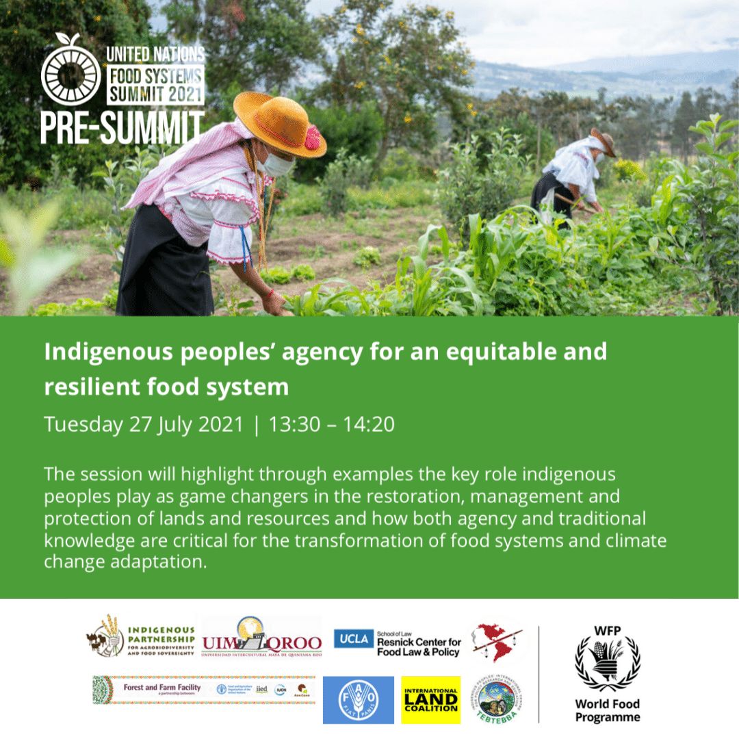 Image ofIndigenous peoples’ agency for an equitable and resilient food system